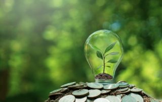 Small tree planted in light bulb on coin with nature background.